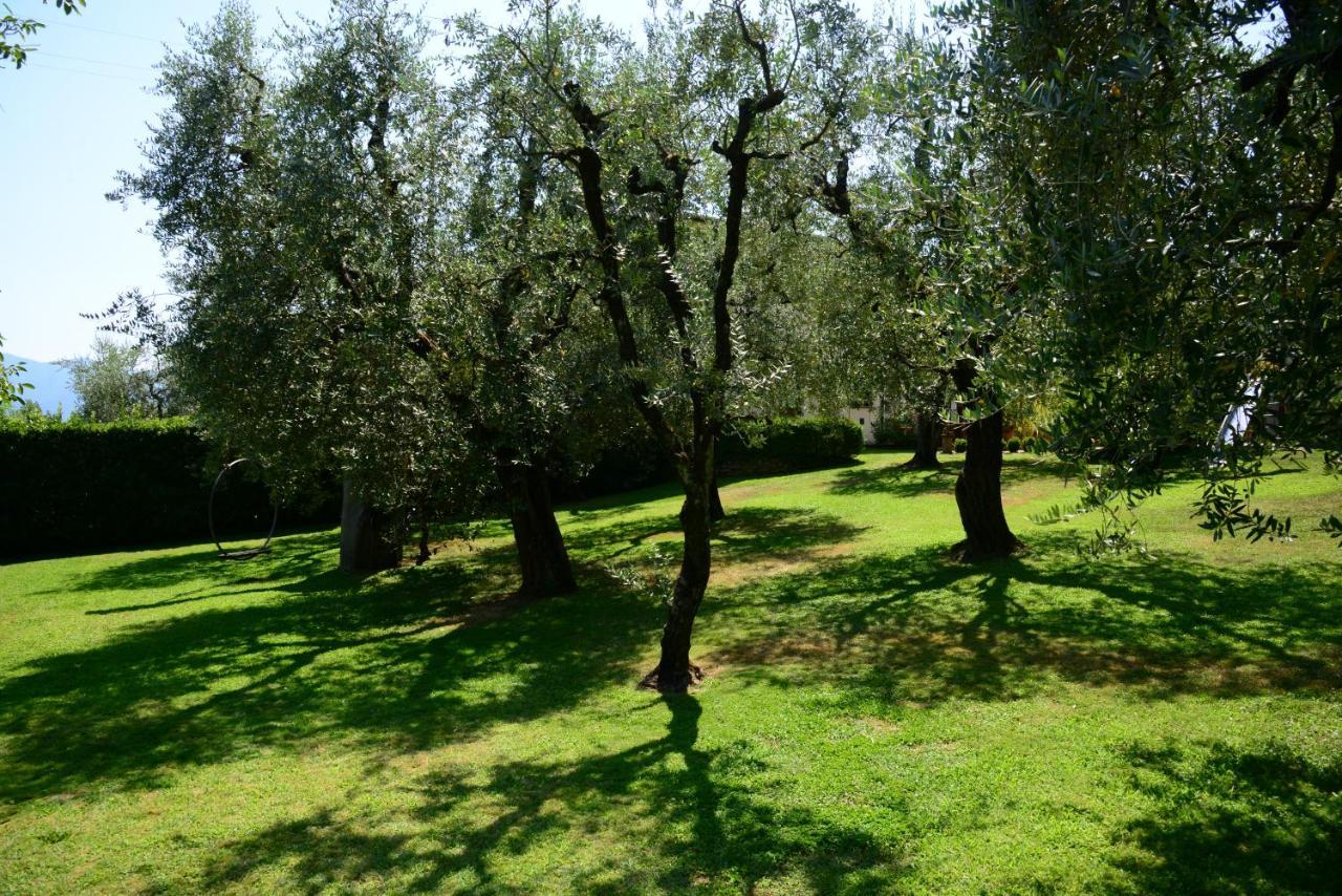 Agriturismo Corte Stefani Capannori Exterior photo